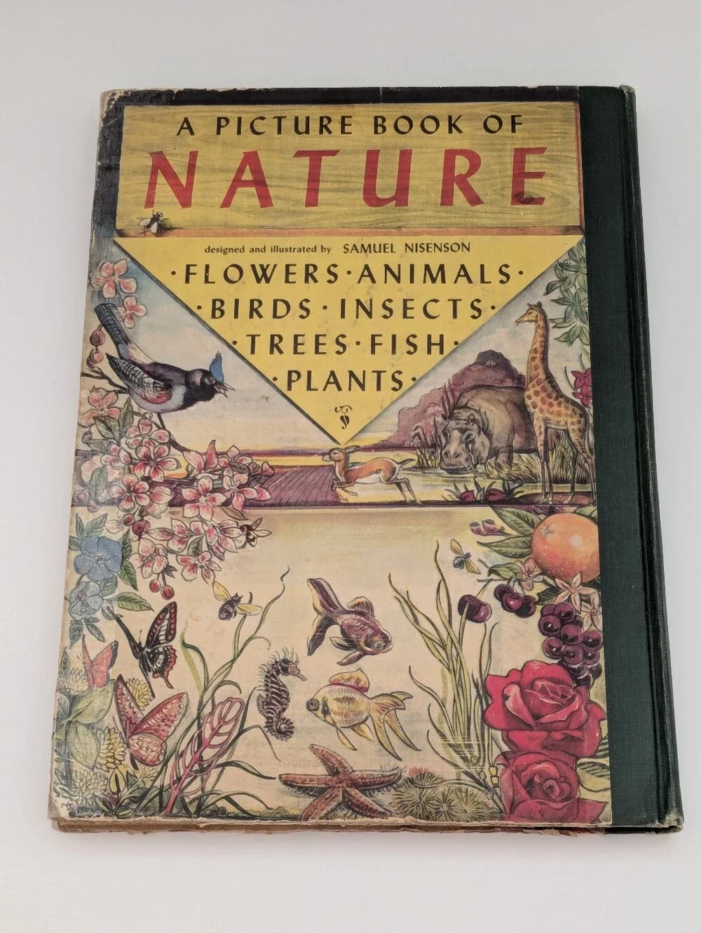 *Vintage* A Picture Book of Nature illustrated by Samuel Nisenson, 1943